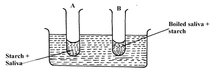 Image From EcoleBooks.com