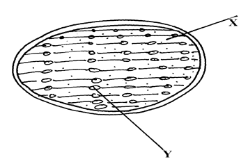 Image From EcoleBooks.com