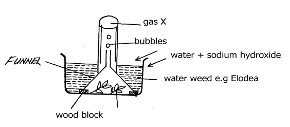 Image From EcoleBooks.com