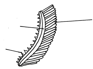 Image From EcoleBooks.com