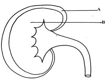Image From EcoleBooks.com
