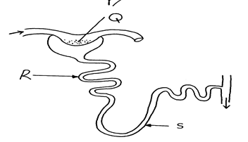 Image From EcoleBooks.com