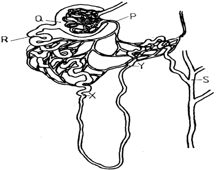 Image From EcoleBooks.com