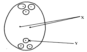 Image From EcoleBooks.com