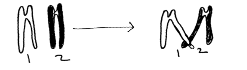 Image From EcoleBooks.com
