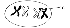 Image From EcoleBooks.com