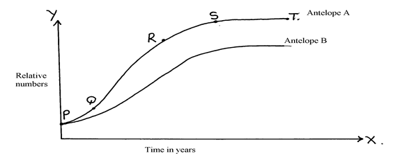 Image From EcoleBooks.com