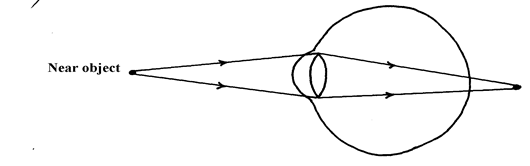 Image From EcoleBooks.com