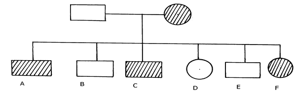 Image From EcoleBooks.com