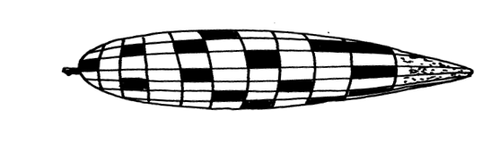 Image From EcoleBooks.com