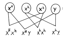 Image From EcoleBooks.com