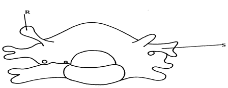 Image From EcoleBooks.com