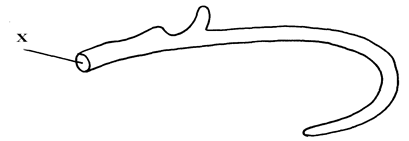 Image From EcoleBooks.com