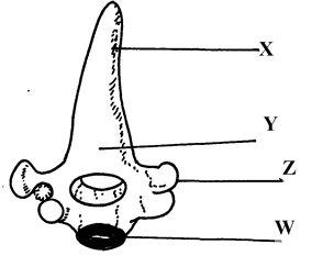 Image From EcoleBooks.com