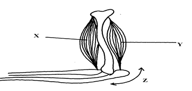 Image From EcoleBooks.com