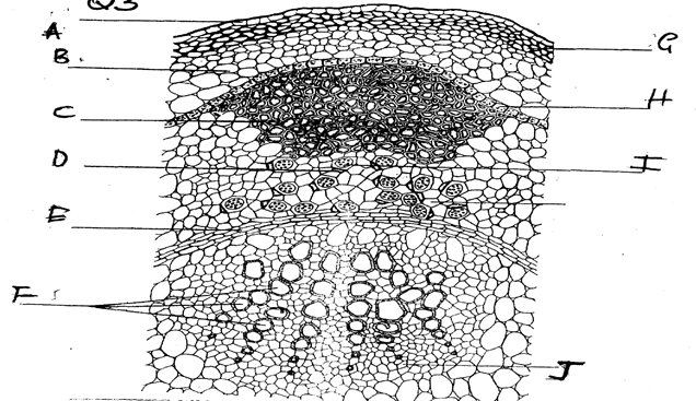 Image From EcoleBooks.com