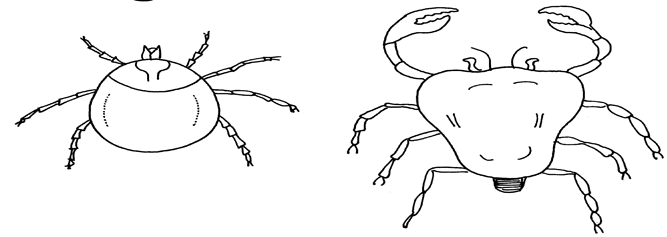 Image From EcoleBooks.com