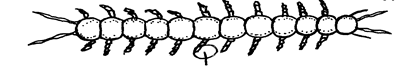 Image From EcoleBooks.com