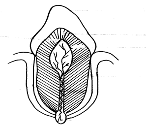 Image From EcoleBooks.com