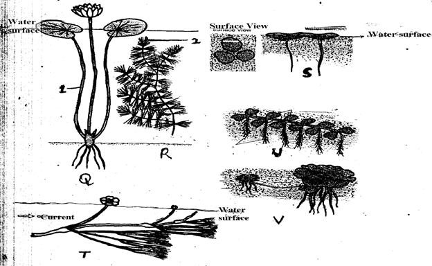 Image From EcoleBooks.com