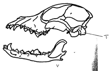 Image From EcoleBooks.com