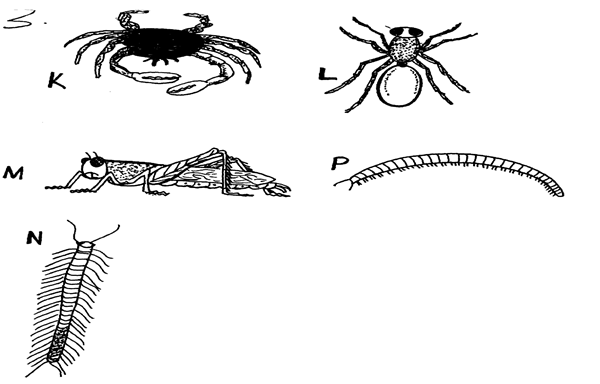 Image From EcoleBooks.com