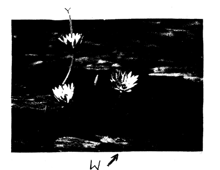 Image From EcoleBooks.com