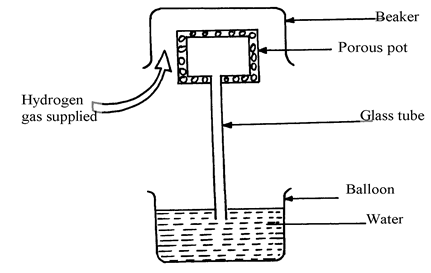 Image From EcoleBooks.com