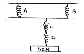 Image From EcoleBooks.com