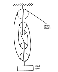 Image From EcoleBooks.com