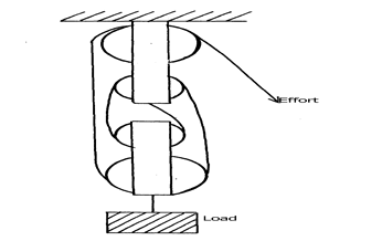 Image From EcoleBooks.com