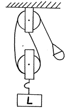 Image From EcoleBooks.com