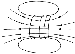 Image From EcoleBooks.com