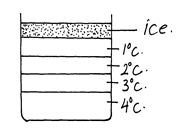 Image From EcoleBooks.com