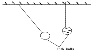 Image From EcoleBooks.com