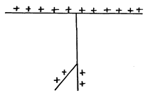 Image From EcoleBooks.com