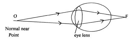 Image From EcoleBooks.com