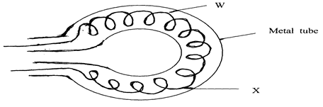 Image From EcoleBooks.com