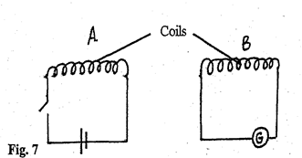 Image From EcoleBooks.com