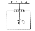 Image From EcoleBooks.com