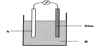 Image From EcoleBooks.com