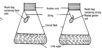 Image From EcoleBooks.com