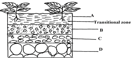 Image From EcoleBooks.com