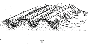 Image From EcoleBooks.com