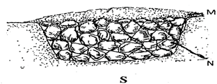 Image From EcoleBooks.com
