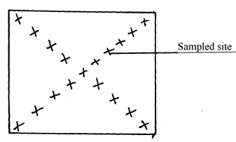 Image From EcoleBooks.com