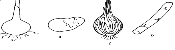 Image From EcoleBooks.com