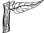 Image From EcoleBooks.com