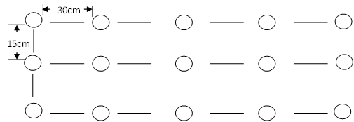 Image From EcoleBooks.com
