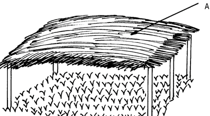 Image From EcoleBooks.com